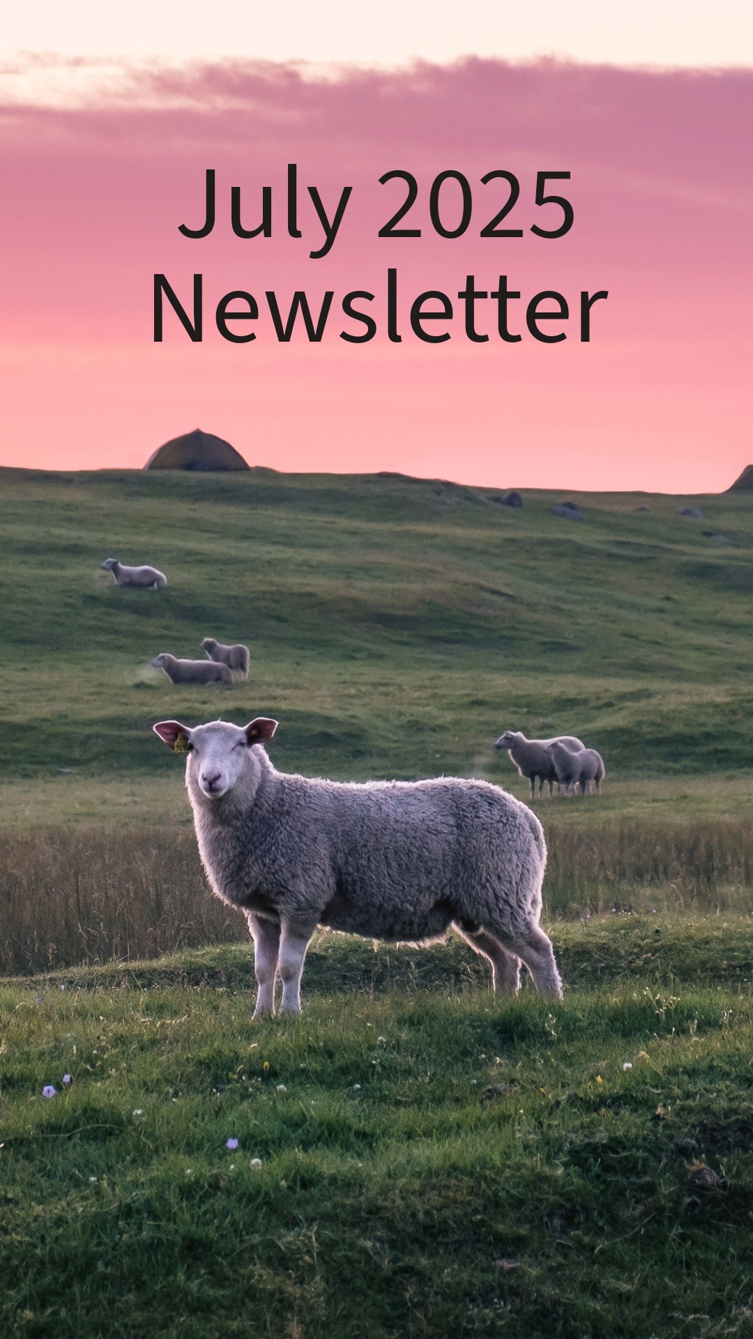 July 2025 Newsletter